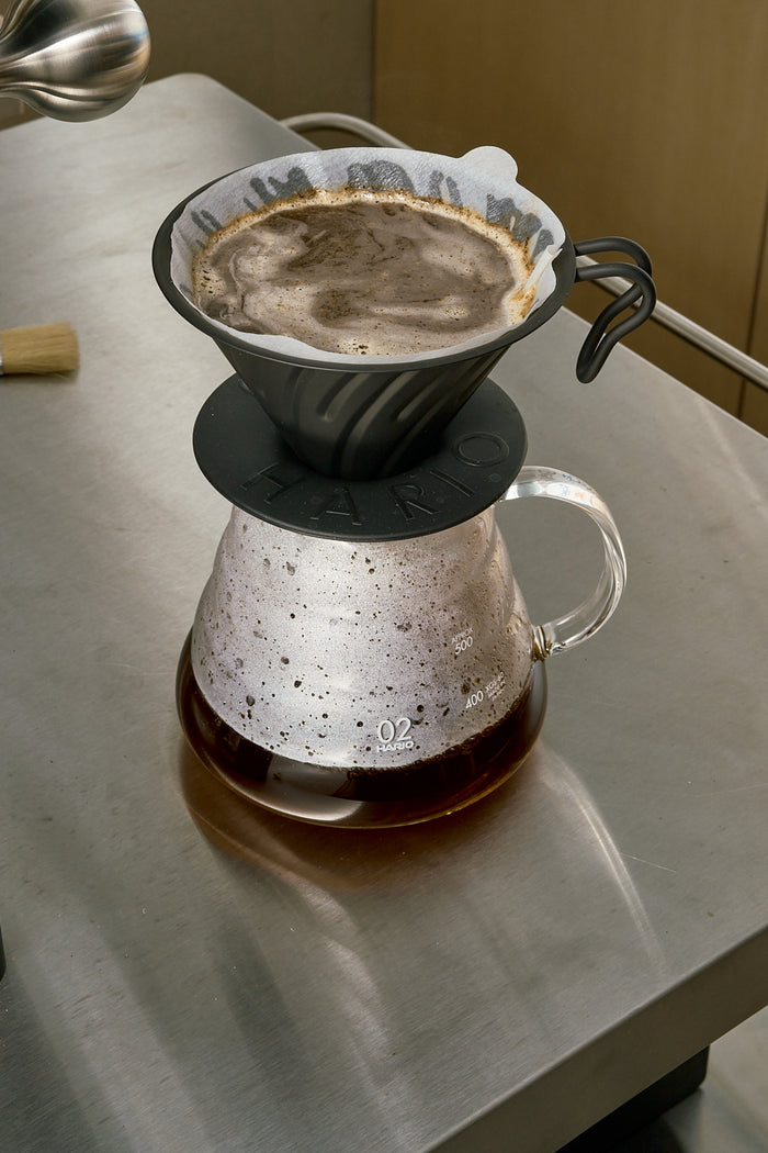 V60 Brewing Guide